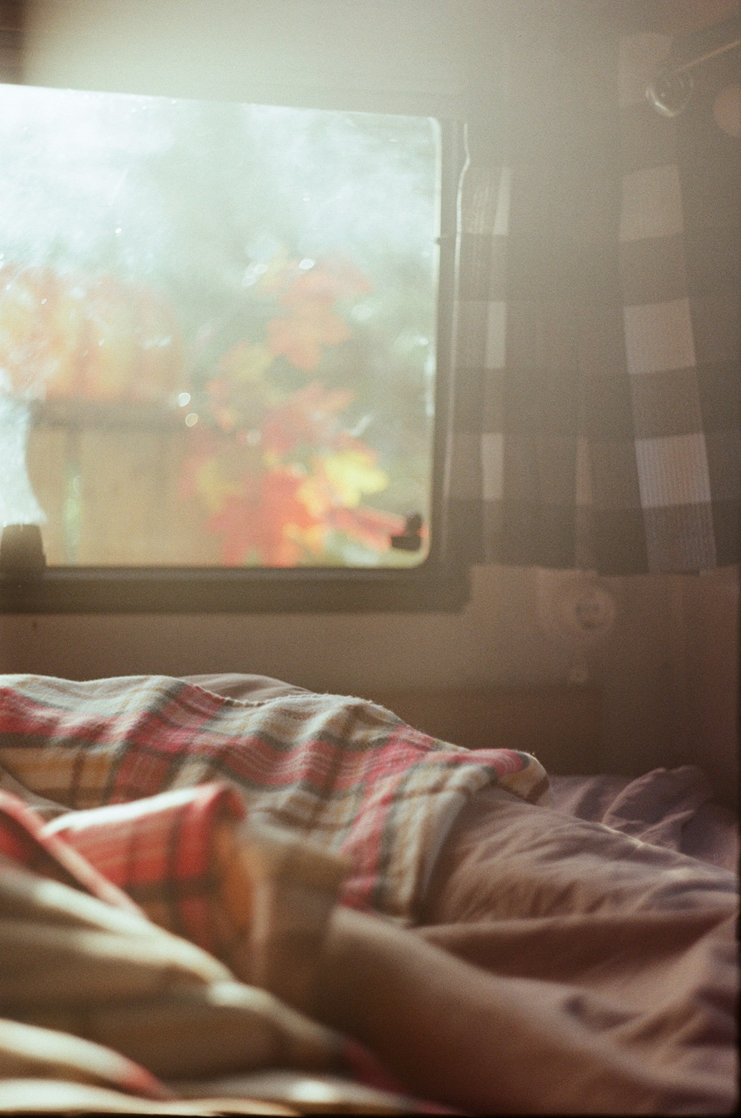 How the Internet Shapes Our Sense of Belonging